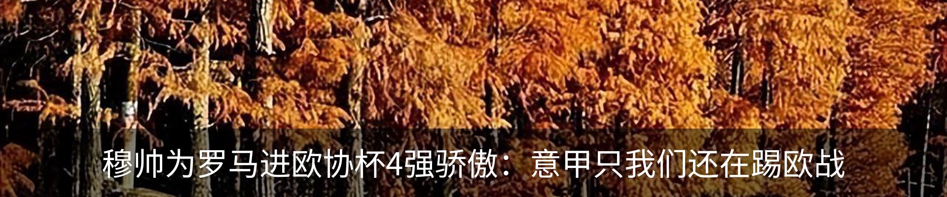 内页banner